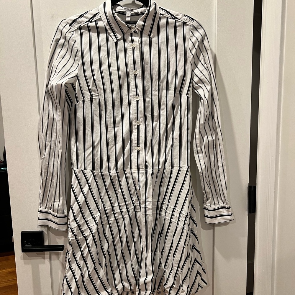 10 Crosby Derek Lam Stripped Shirtdress